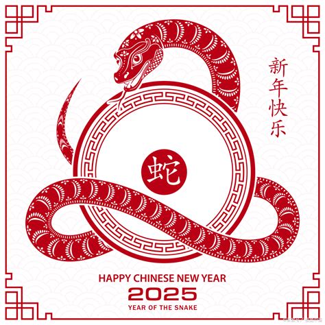 2025年是什么生肖|2025年12生肖运势完整版详解,十二生肖2025年兔年每月运程大全…